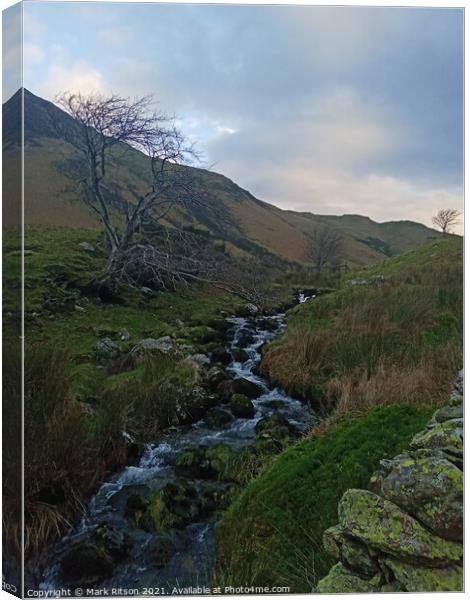 Crummock Water stream and Stone Wall Canvas Print by Mark Ritson