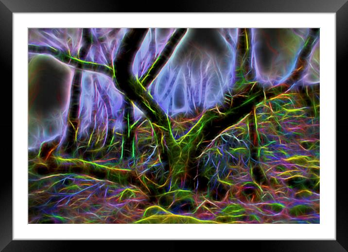 Eerie Neon Woodland Framed Mounted Print by Glen Allen