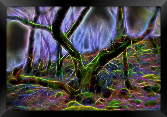 Eerie Neon Woodland Framed Print by Glen Allen