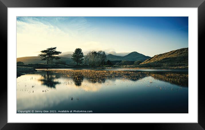 Yellow reeds of Kelly Tarn  Framed Mounted Print by Jonny Gios