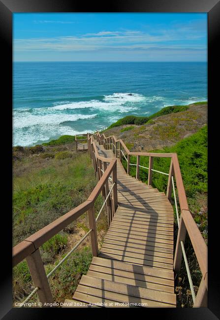 Walkway to Sea in Costa Vicentina Framed Print by Angelo DeVal