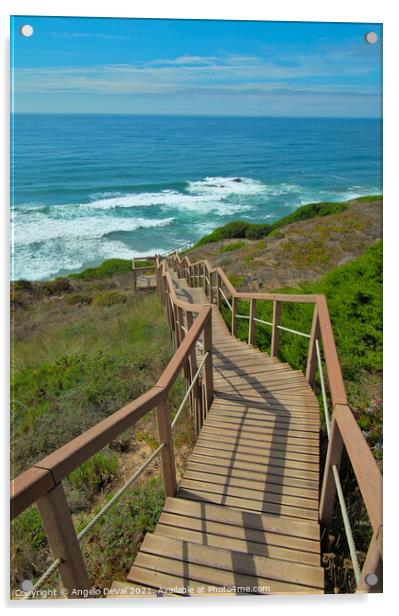 Walkway to Sea in Costa Vicentina Acrylic by Angelo DeVal