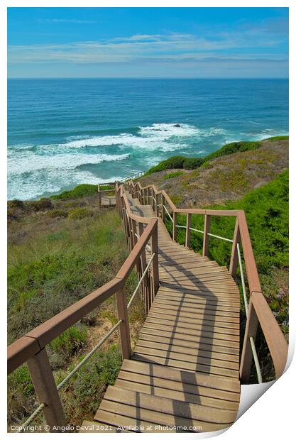 Walkway to Sea in Costa Vicentina Print by Angelo DeVal