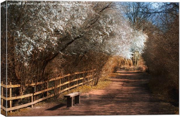 Worsbrough Mill Blossom Seat Canvas Print by Alison Chambers