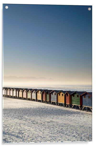 Beach Huts at Muizenberg Beach, South Africa Acrylic by Neil Overy