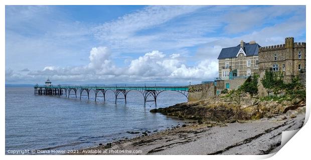Clevedon Pier Panoramic Somerset Print by Diana Mower
