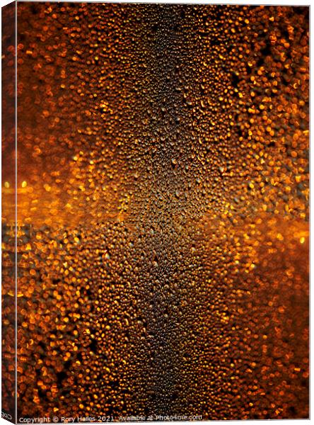 Water droplets Abstract  Canvas Print by Rory Hailes