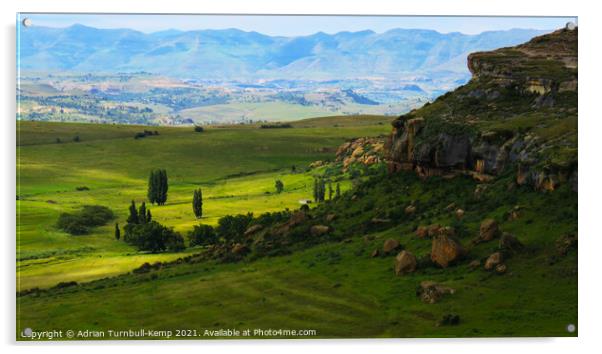 Pastoral scene near Fouriesburg, Free State, South Africa Acrylic by Adrian Turnbull-Kemp