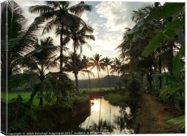 sunset and coconut trees near a small clam river Canvas Print by Anish Punchayil Sukumaran