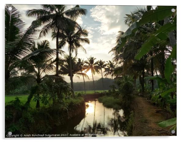 sunset and coconut trees near a small clam river Acrylic by Anish Punchayil Sukumaran