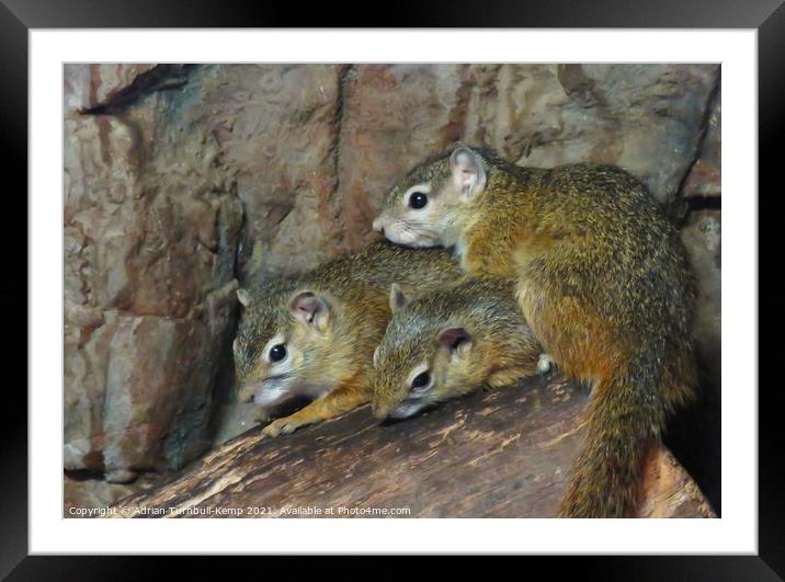 All together now, Hartbeespoort, Gauteng, South Africa Framed Mounted Print by Adrian Turnbull-Kemp