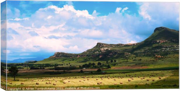 Field of hay bales near Fouriesburg, Free State, South Africa Canvas Print by Adrian Turnbull-Kemp
