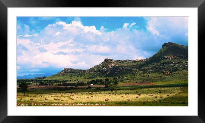 Field of hay bales near Fouriesburg, Free State, South Africa Framed Mounted Print by Adrian Turnbull-Kemp
