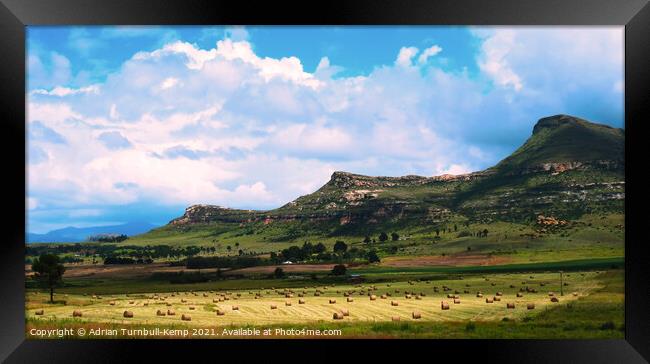 Field of hay bales near Fouriesburg, Free State, South Africa Framed Print by Adrian Turnbull-Kemp