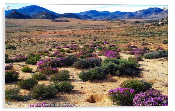 Wildflowers, Goegap Nature Reserve, Springok, Northern Cape Acrylic by Adrian Turnbull-Kemp