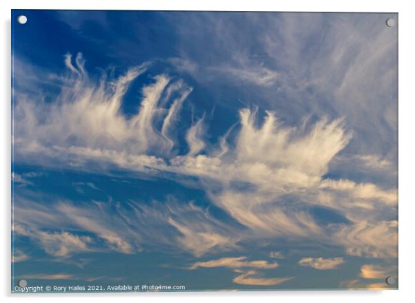 Cirrus cloud against a blue sky Acrylic by Rory Hailes