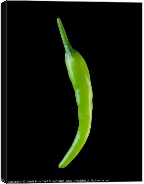 fresh green chili in black background Canvas Print by Anish Punchayil Sukumaran