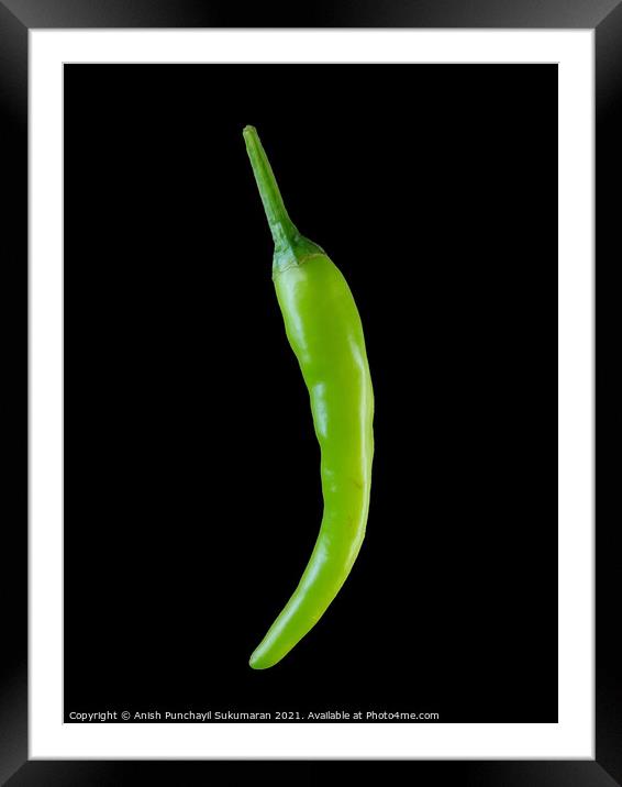 fresh green chili in black background Framed Mounted Print by Anish Punchayil Sukumaran