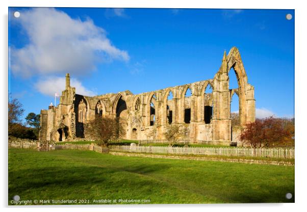 Bolton Abbey Acrylic by Mark Sunderland