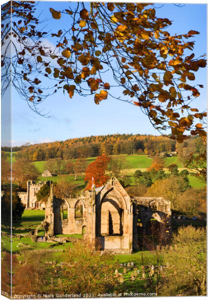Bolton Abbey in Autumn Canvas Print by Mark Sunderland