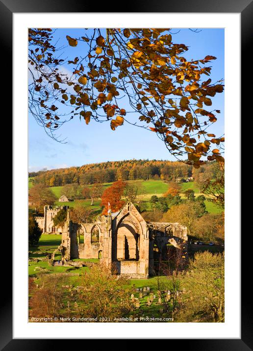 Bolton Abbey in Autumn Framed Mounted Print by Mark Sunderland