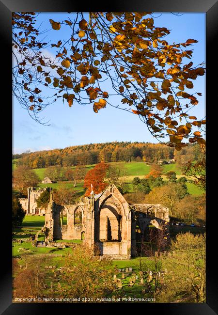 Bolton Abbey in Autumn Framed Print by Mark Sunderland