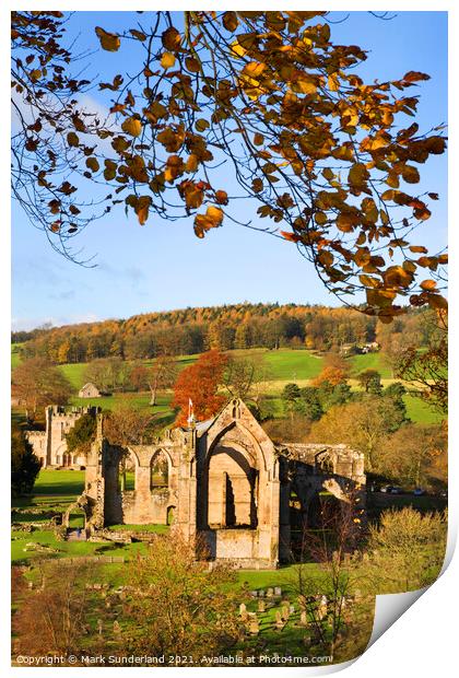 Bolton Abbey in Autumn Print by Mark Sunderland