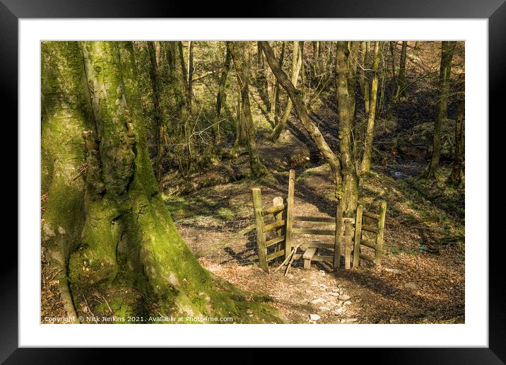 A woodland scene near Cardiff with trees and woode Framed Mounted Print by Nick Jenkins