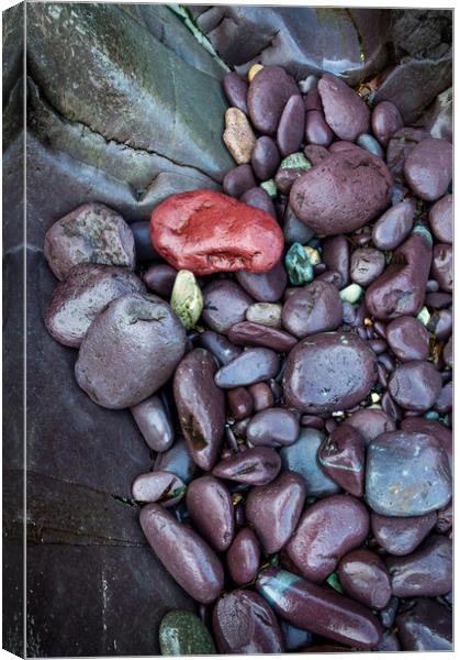 Purple rocks at Abermawr, Pembrokeshire, Wales Canvas Print by Andrew Kearton