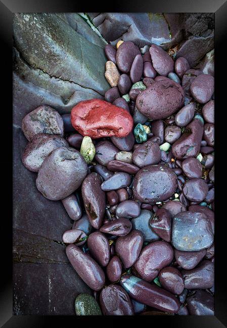 Purple rocks at Abermawr, Pembrokeshire, Wales Framed Print by Andrew Kearton