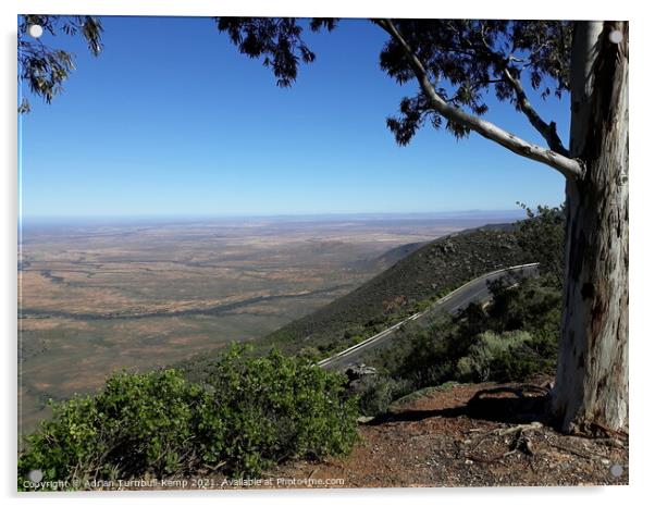View from van Rhyn Pass near Vanrhynsdorp , Western Cape Acrylic by Adrian Turnbull-Kemp