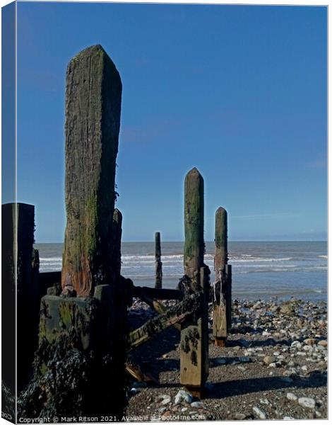 At The Groyne  Canvas Print by Mark Ritson
