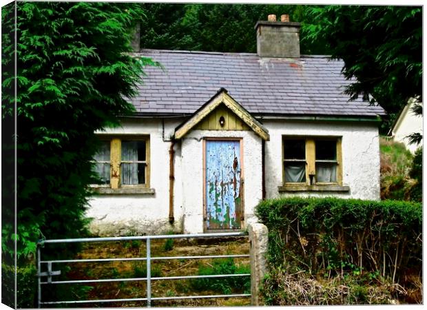 Abandoned Irish Cottage Canvas Print by Stephanie Moore