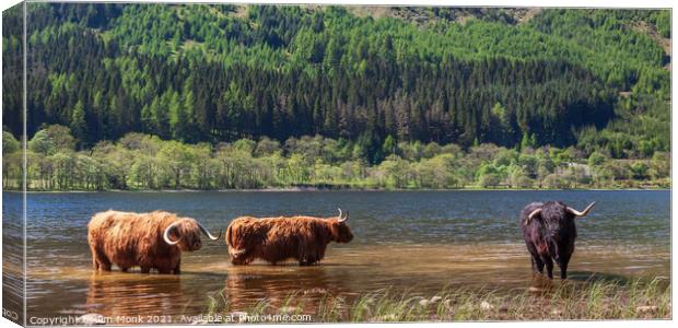 Cooling Off in Loch Lubnaig Canvas Print by Jim Monk