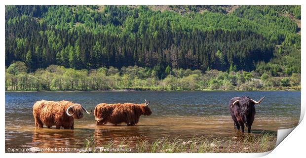 Cooling Off in Loch Lubnaig Print by Jim Monk