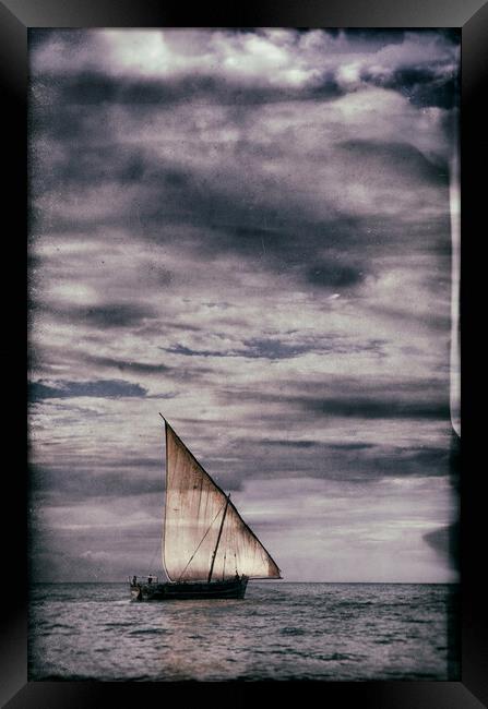 Dhow Sailing on the Indian Ocean Framed Print by Neil Overy