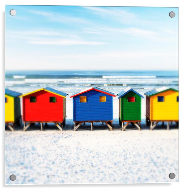 Beach Huts at Muizenberg Beach, South Africa Acrylic by Neil Overy