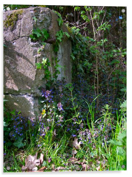 Corner of a rock garden with wild flowers and ivy growing up the rock. Acrylic by Peter Bolton