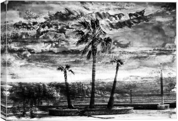 A Stormy Day in Black & white Canvas Print by Sheila Eames