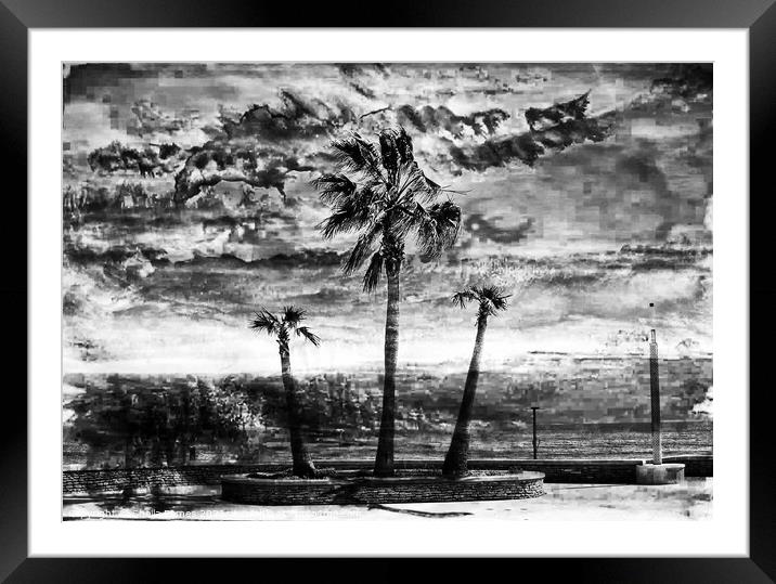 A Stormy Day in Black & white Framed Mounted Print by Sheila Eames