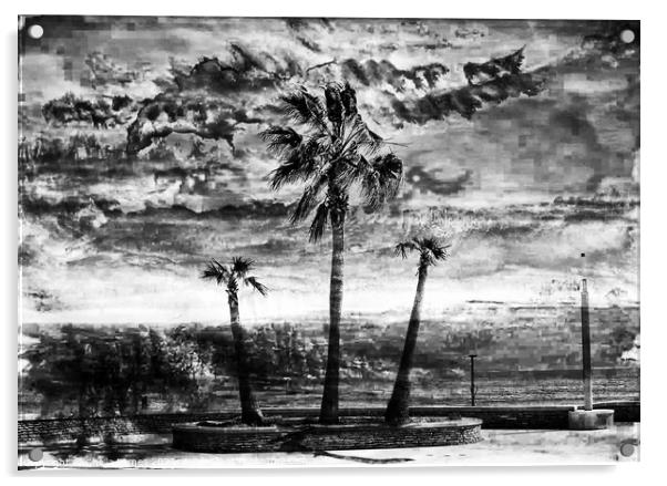 A Stormy Day in Black & white Acrylic by Sheila Eames