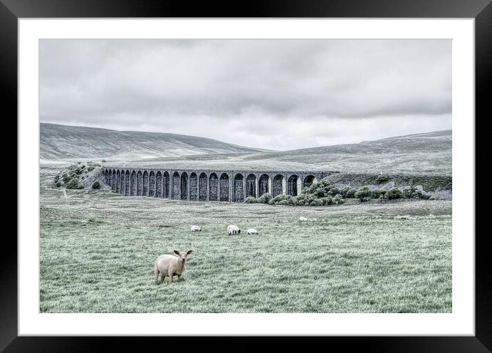 Ribblehead Viaduct  Framed Mounted Print by Jon Fixter