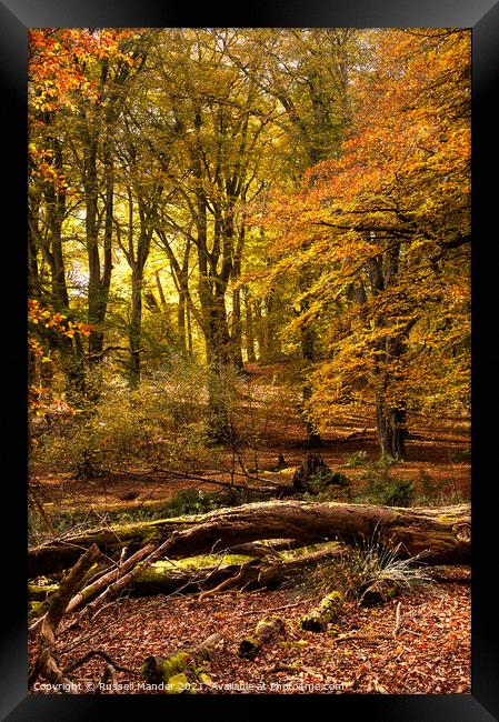 AUTUMN COLOURS Framed Print by Russell Mander