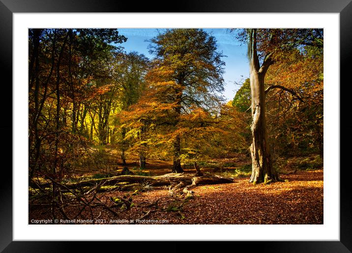 AUTUMN BEAUTY Framed Mounted Print by Russell Mander