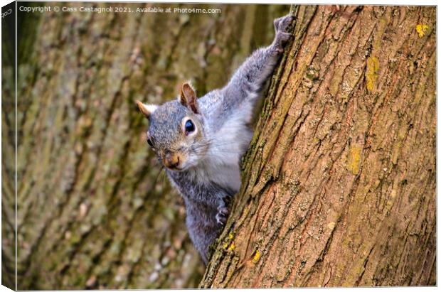 You Looking at Me ? Canvas Print by Cass Castagnoli