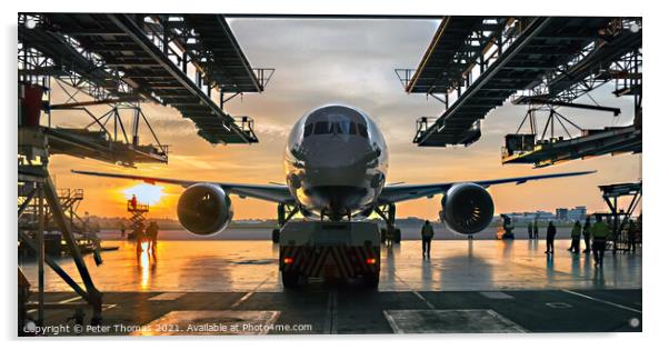A Marvel of Aviation Engineering the Dreamliner Acrylic by Peter Thomas