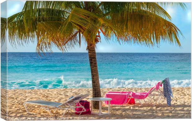 Secluded Paradise at Dover Beach Canvas Print by Peter Thomas