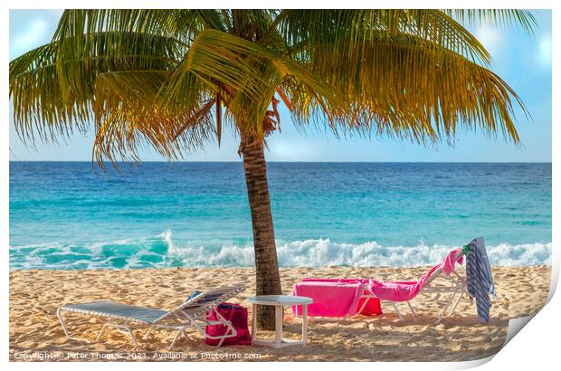 Secluded Paradise at Dover Beach Print by Peter Thomas