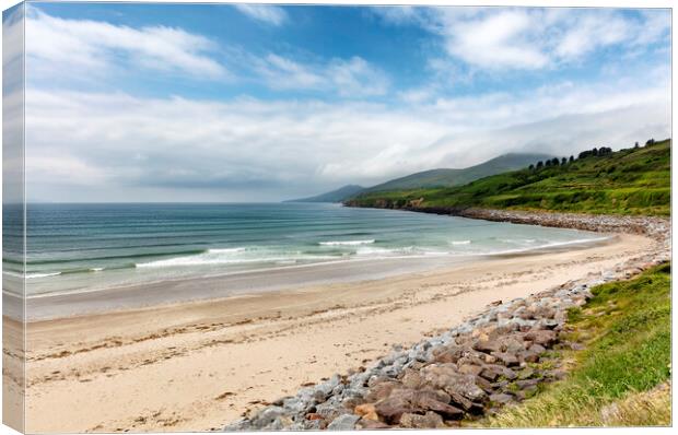 Natural beach of Ireland in the Atlantic Ocean with farm pasture Canvas Print by Thomas Baker