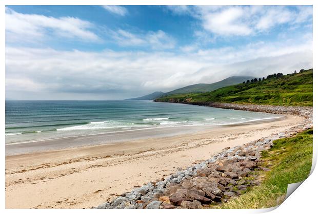 Natural beach of Ireland in the Atlantic Ocean with farm pasture Print by Thomas Baker